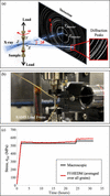[Figure 2]