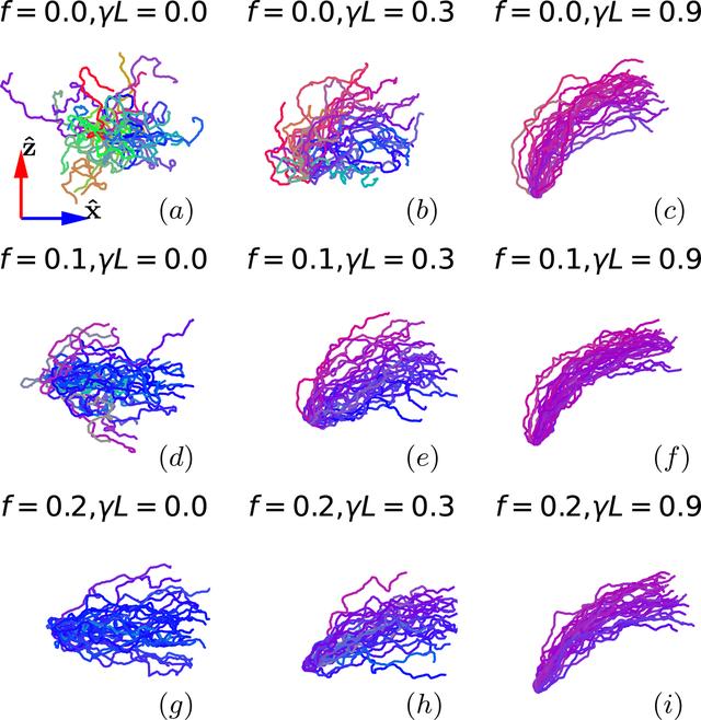 [Figure 2]