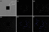 [Figure 2]