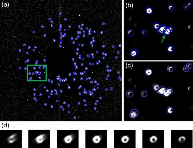 [Figure 3]