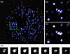 [Figure 3]