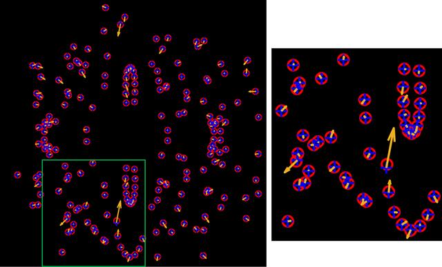 [Figure 5]