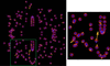 [Figure 5]