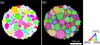 [Figure 6]