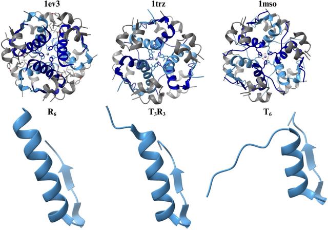 [Figure 1]