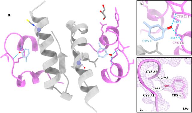[Figure 4]