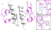 [Figure 4]