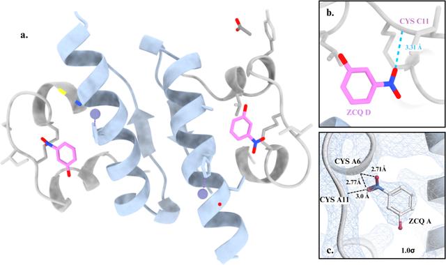 [Figure 5]