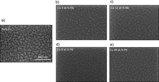 [Figure 10]