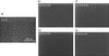 [Figure 10]