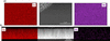 [Figure 11]