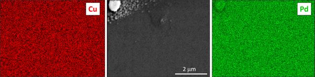 [Figure 13]