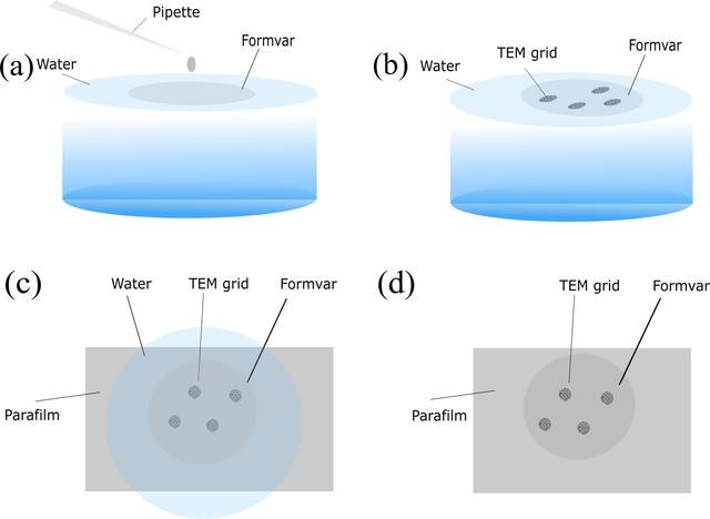 [Figure 1]