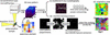 [Figure 1]