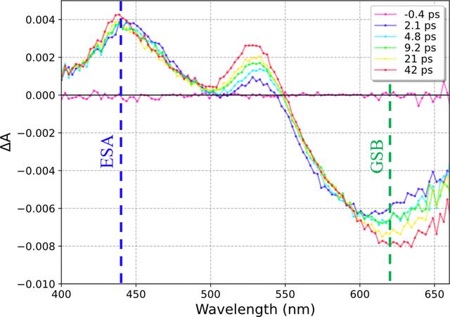 [Figure 3]