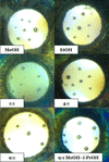 [Figure 1]