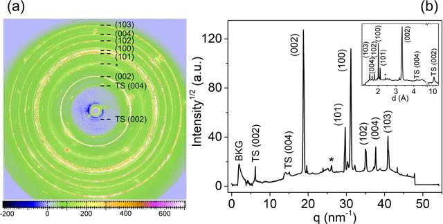 [Figure 1]