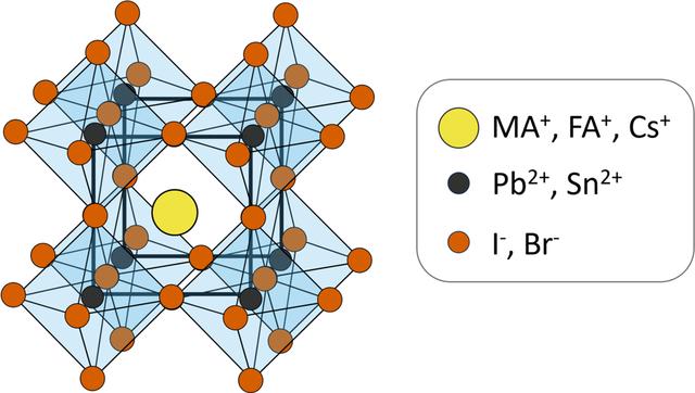 [Figure 1]