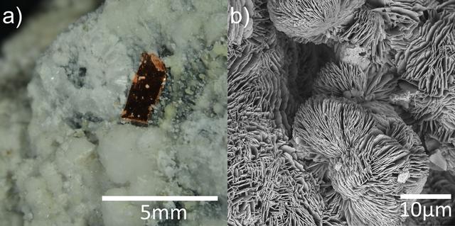 [Figure 1]