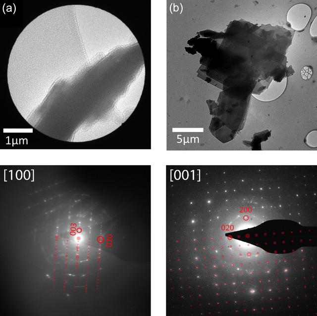 [Figure 13]