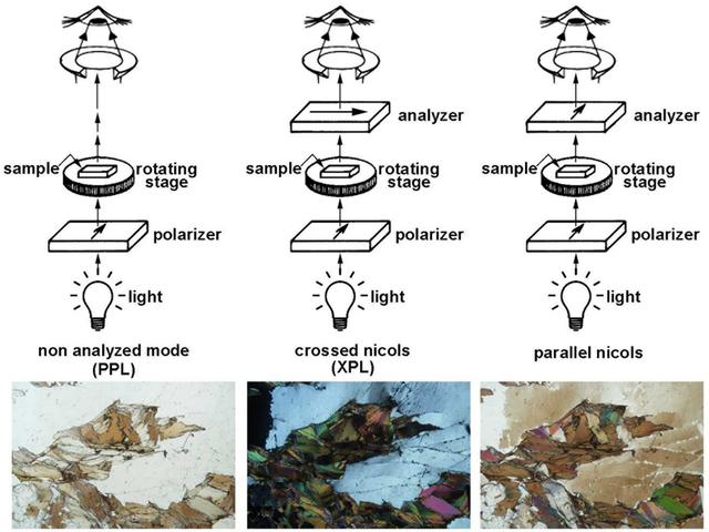 [Figure 4]
