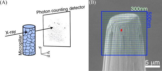 [Figure 1]