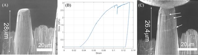 [Figure 2]