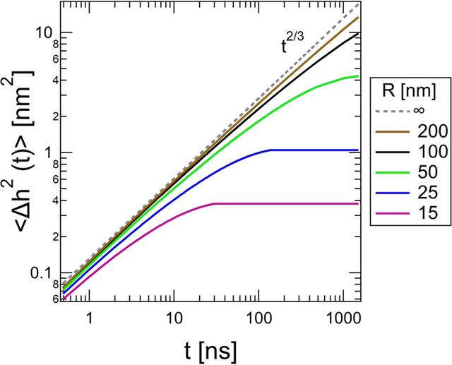 [Figure 2]