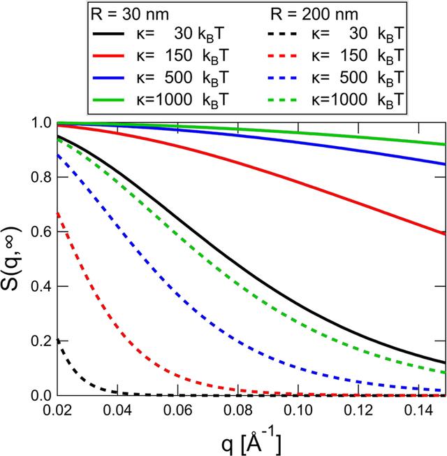 [Figure 4]