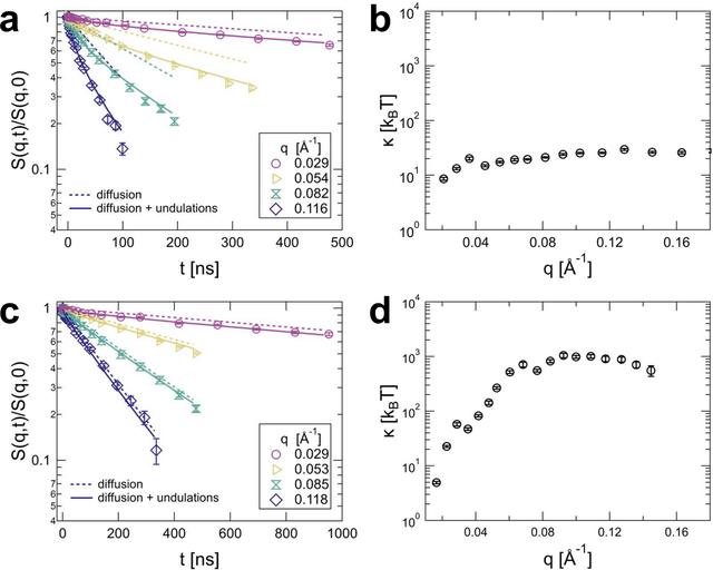 [Figure 5]