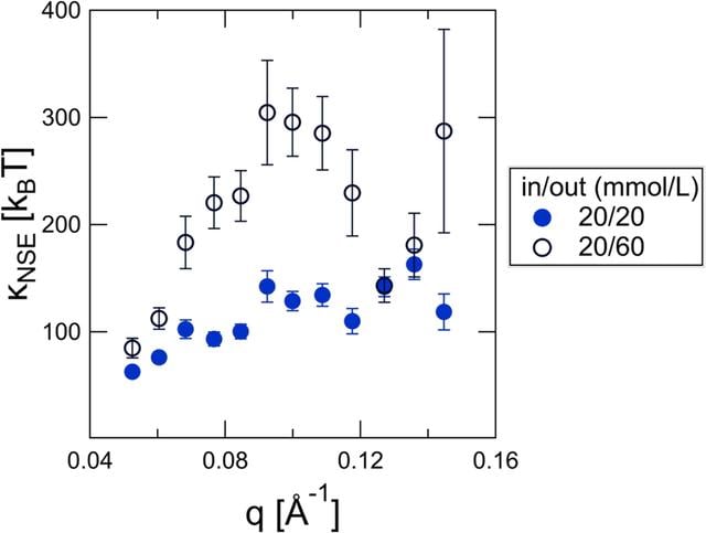 [Figure 7]