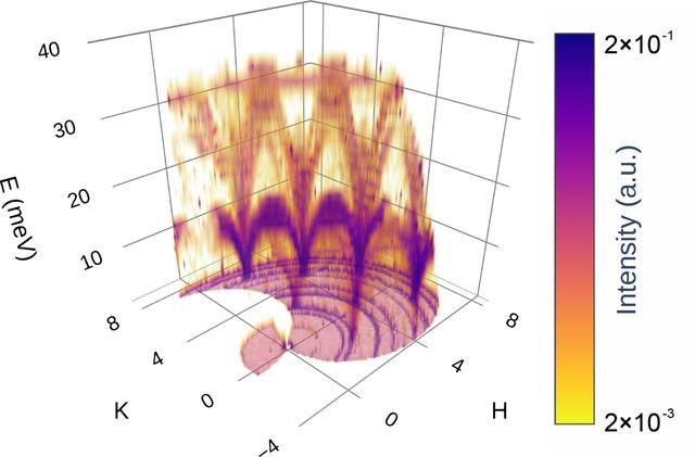 [Figure 1]
