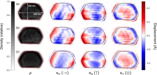 [Figure 8]