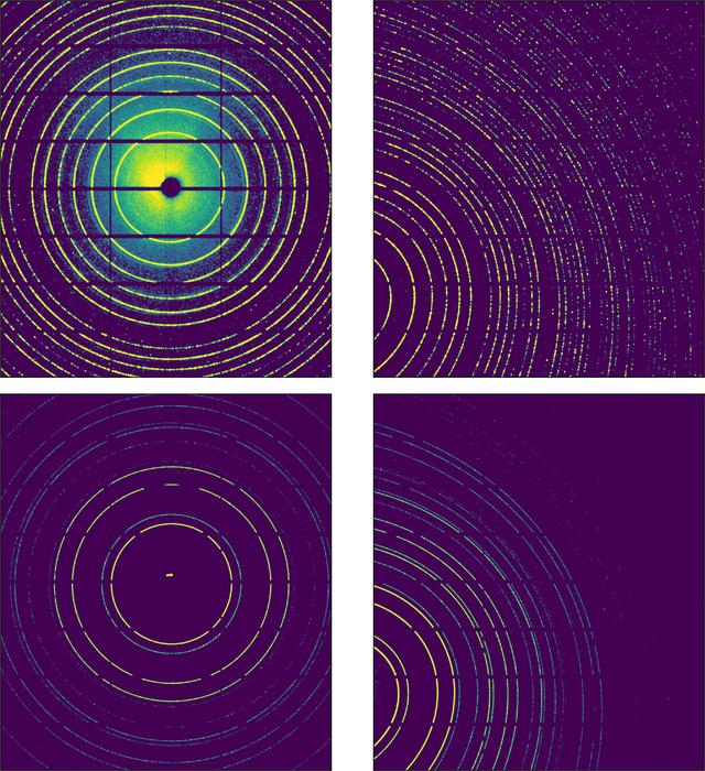 [Figure 7]