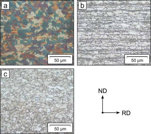 [Figure 7]