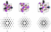[Figure 10]