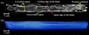 [Figure 2]