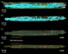 [Figure 4]