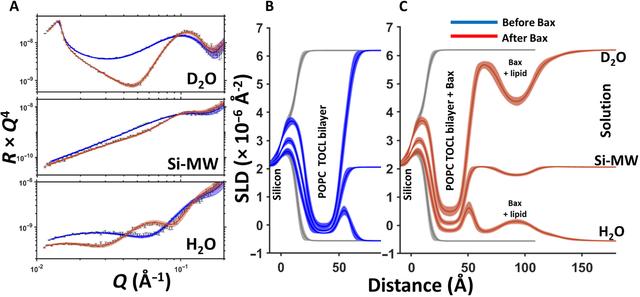 [Figure 5]