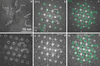 [Figure 3]