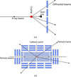 [Figure 1]
