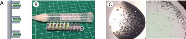 [Figure 3]