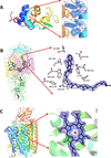 [Figure 6]