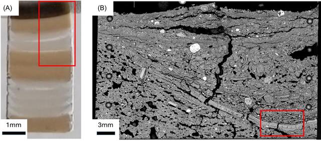 [Figure 1]