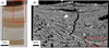 [Figure 1]