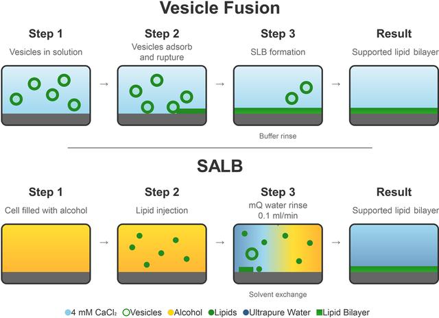 [Figure 1]