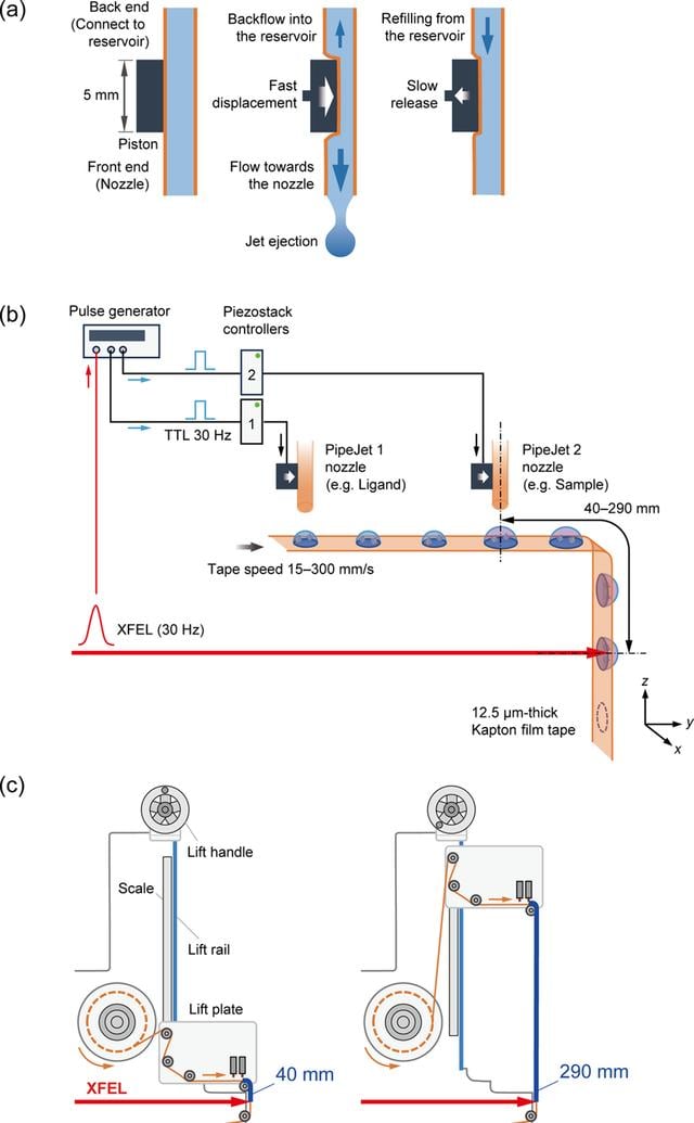 [Figure 2]