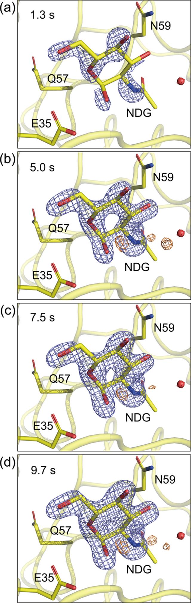 [Figure 4]