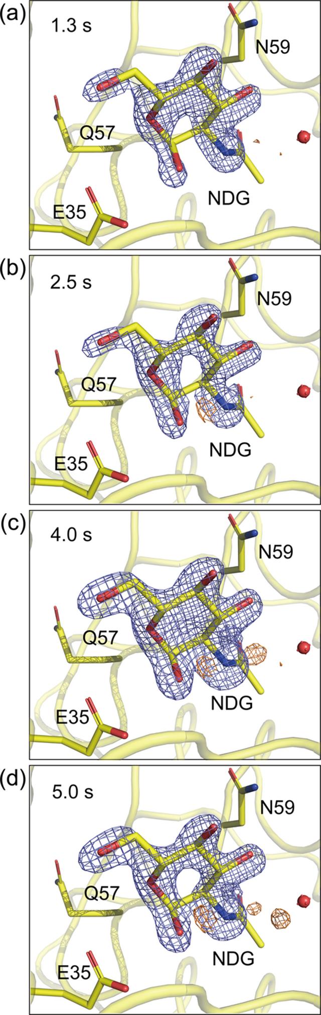 [Figure 5]