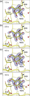 [Figure 5]